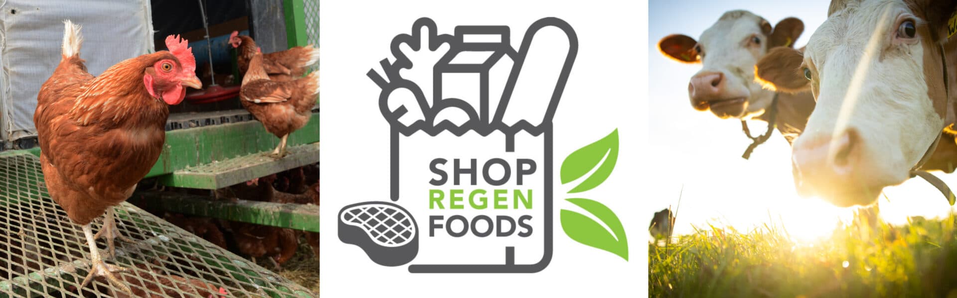 Regen-Foods-Logo-cow ReGen Foods