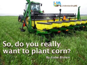 So, do you really want to plant corn