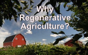 Why Regenerative Agriculture?