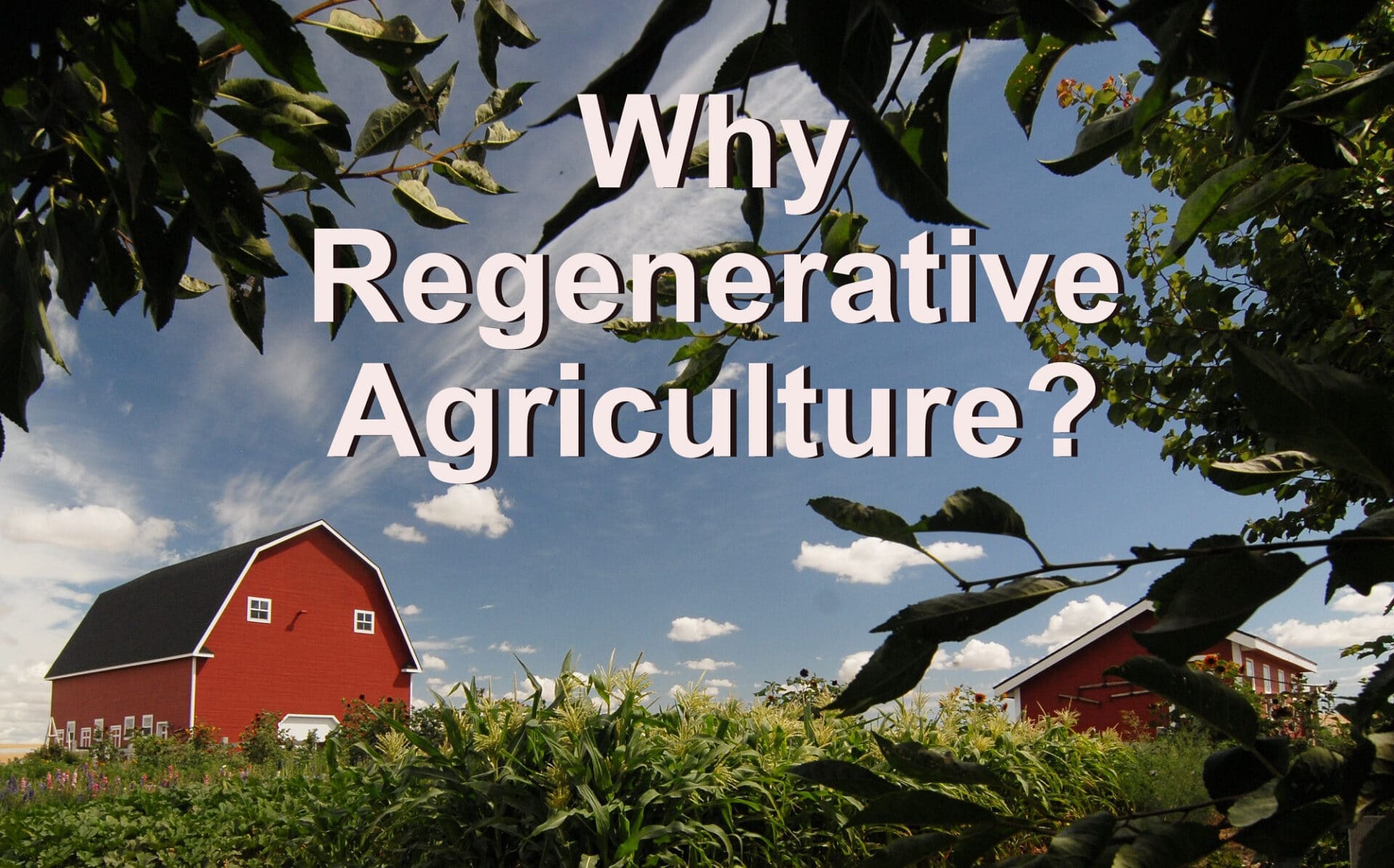 Regenerative Agriculture: Definition