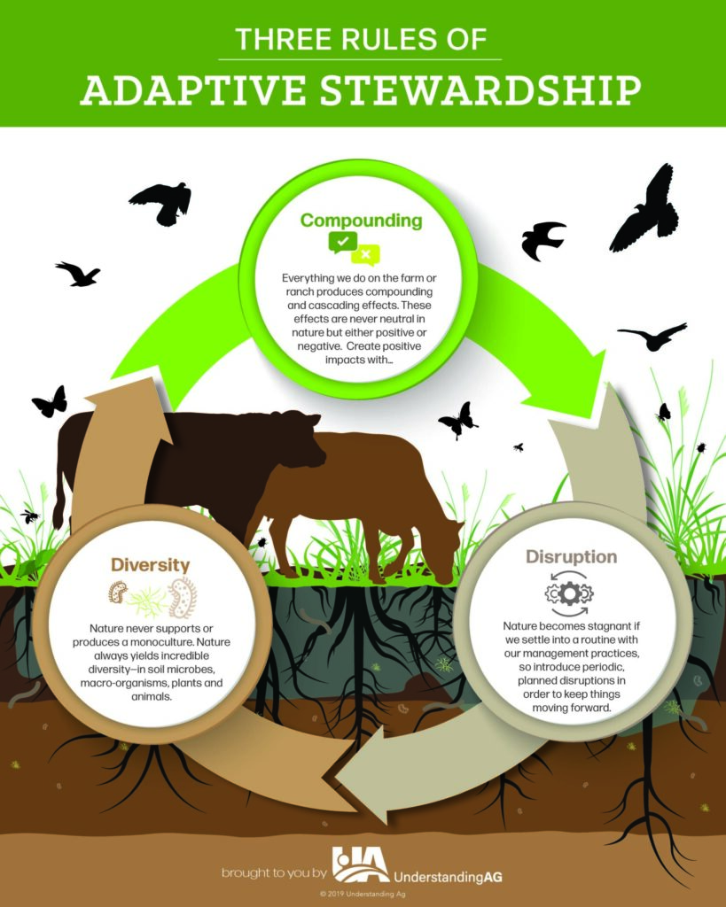 three rules of adaptive stewardship