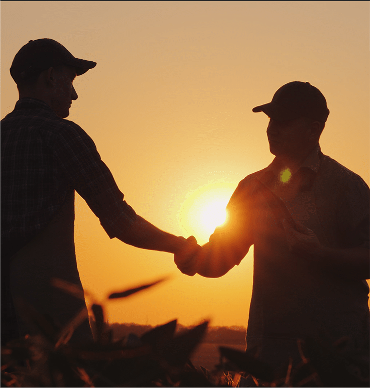 farmer shaking hands in the field