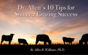 Summer Grazing Success
