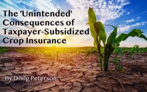 Unintended Consequences of Crop Insurance