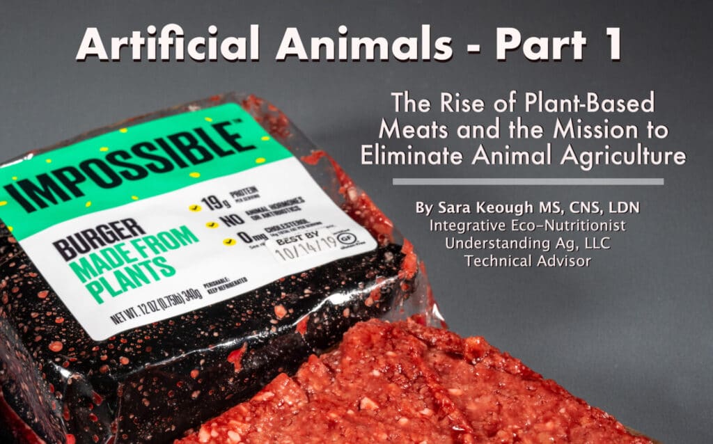Artificial Animals Part 1 Sara Keough Blog Part 1