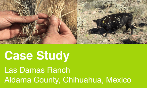 Las Damas Ranch Case Ag