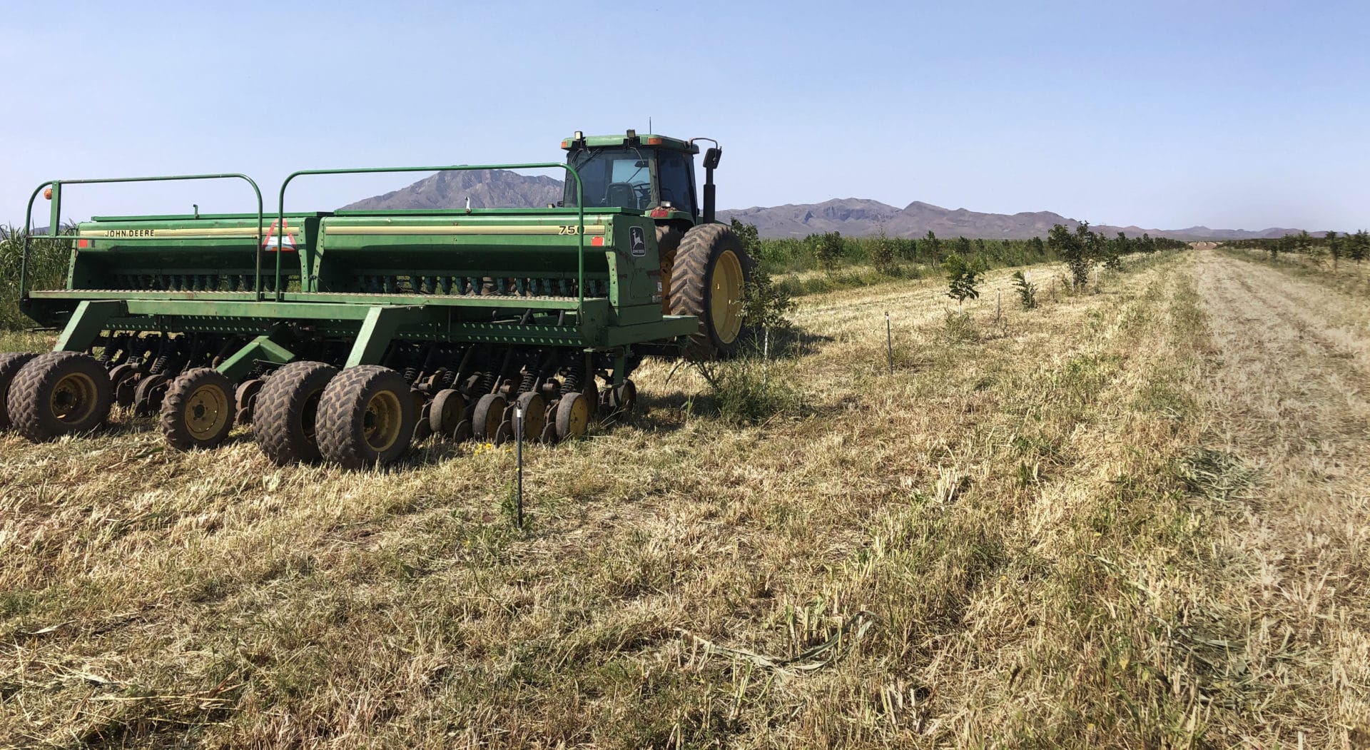 Growing Regeneratively in Chihuahua, Mexico's Arid Climate ...