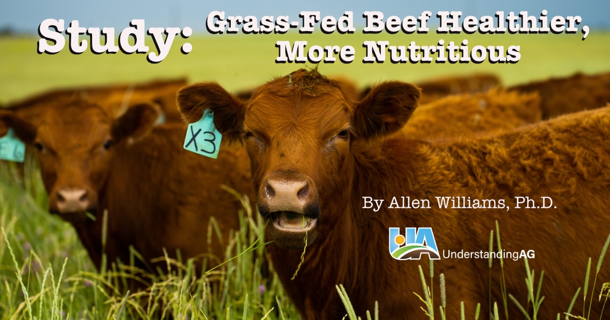 Nutritional Comparisons Between Grass-Fed Beef and Conventional Grain-Fed  Beef - Understanding Ag