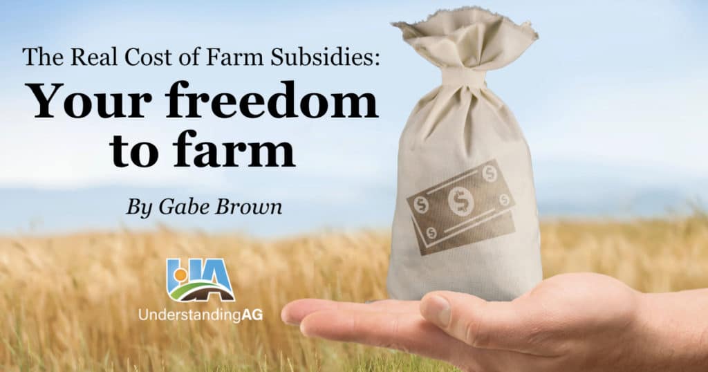 Subsidies_V1