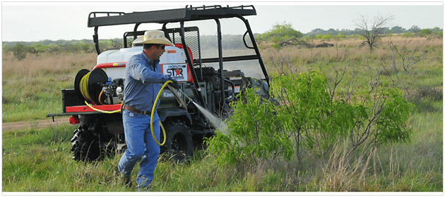 Chemical Control of Mesquite.