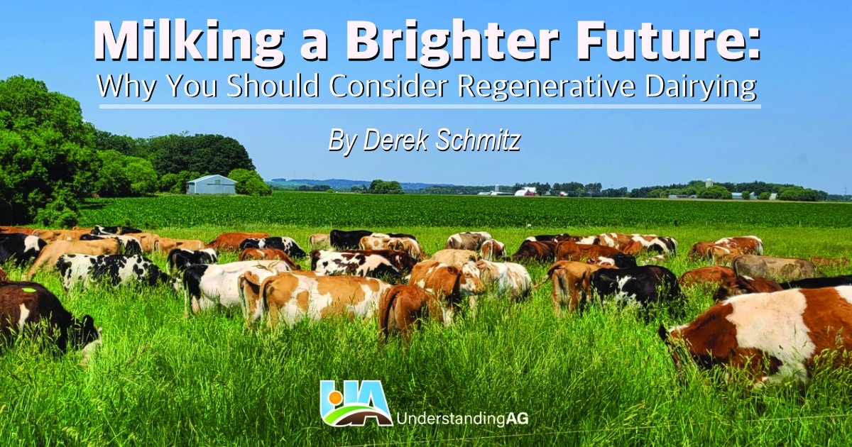 Milking a Brighter Future