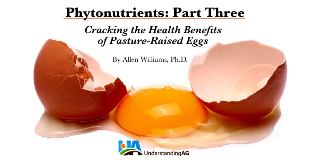 PhytoEggs meme1 PhytoEggs meme1