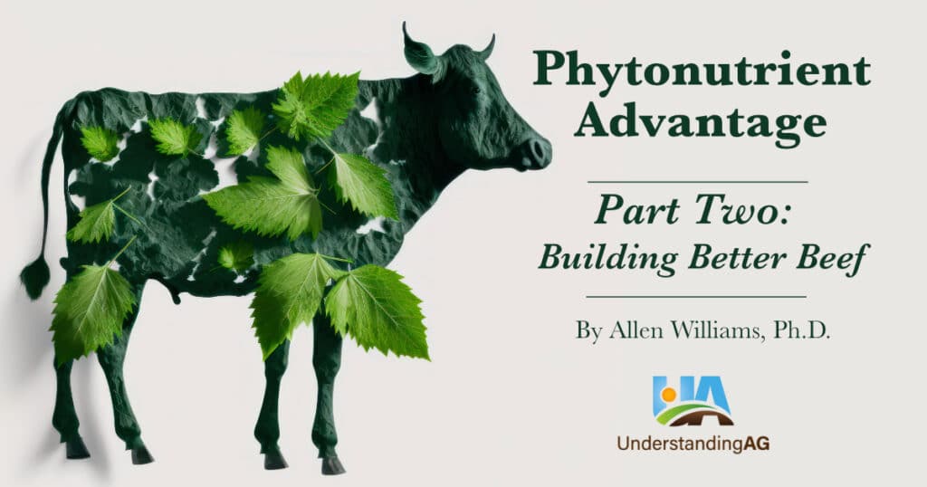 PhytoPart2 meme1 PhytoPart2 meme1