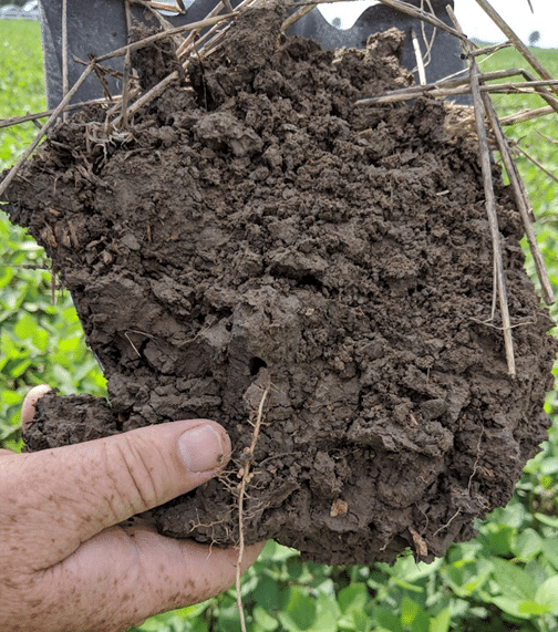 Healthy, well aggregated soil will readily infiltrate water and resist compaction, even when wet.