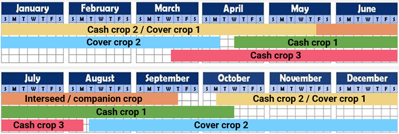 Explore ways to fill the calendar with living roots to build soil strength and prevent compaction.