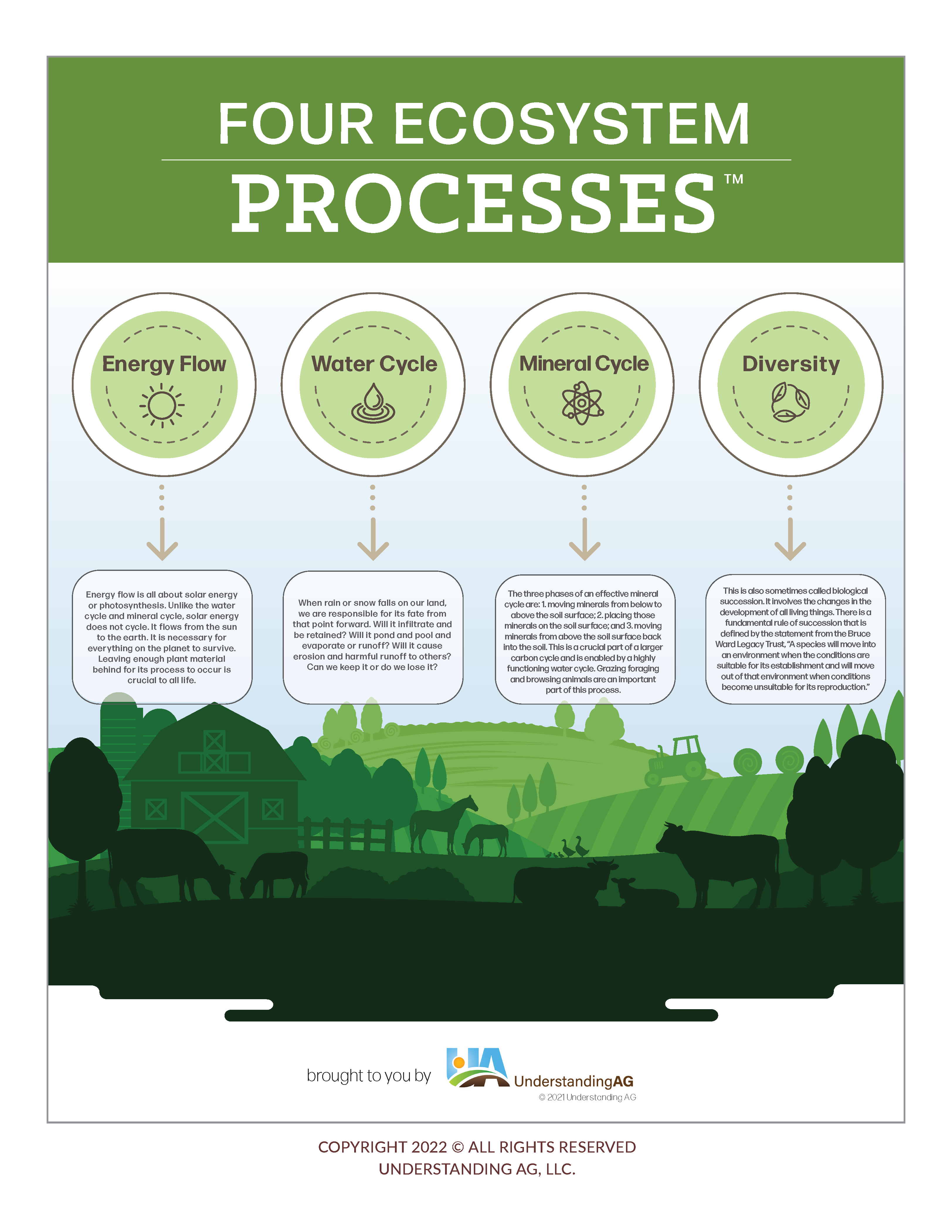 UA 4 Processes Fact Sheet