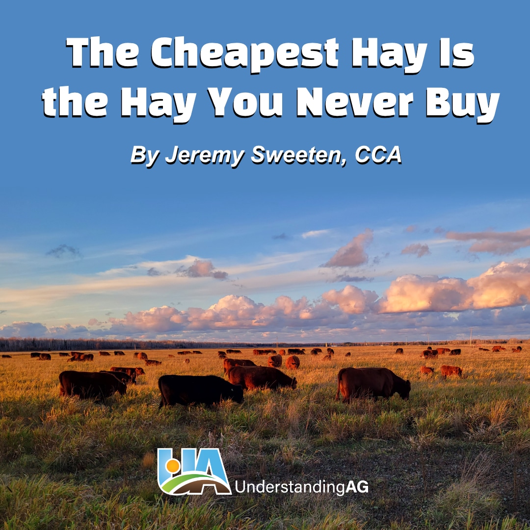 The Cheapest Hay Is the Hay You Never Buy - Understanding Ag