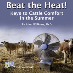 BeatTheHeat meme1