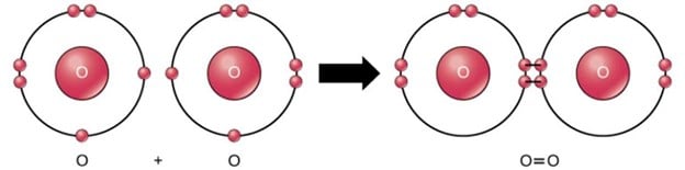 Oxygen atoms