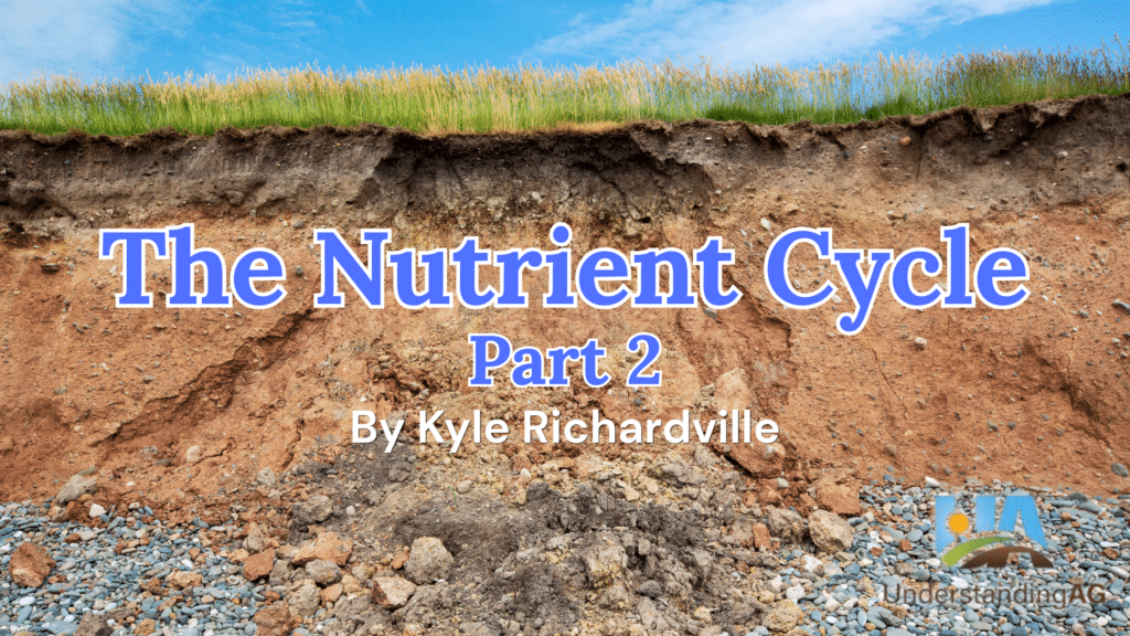 The Nutrient Cycle (2)