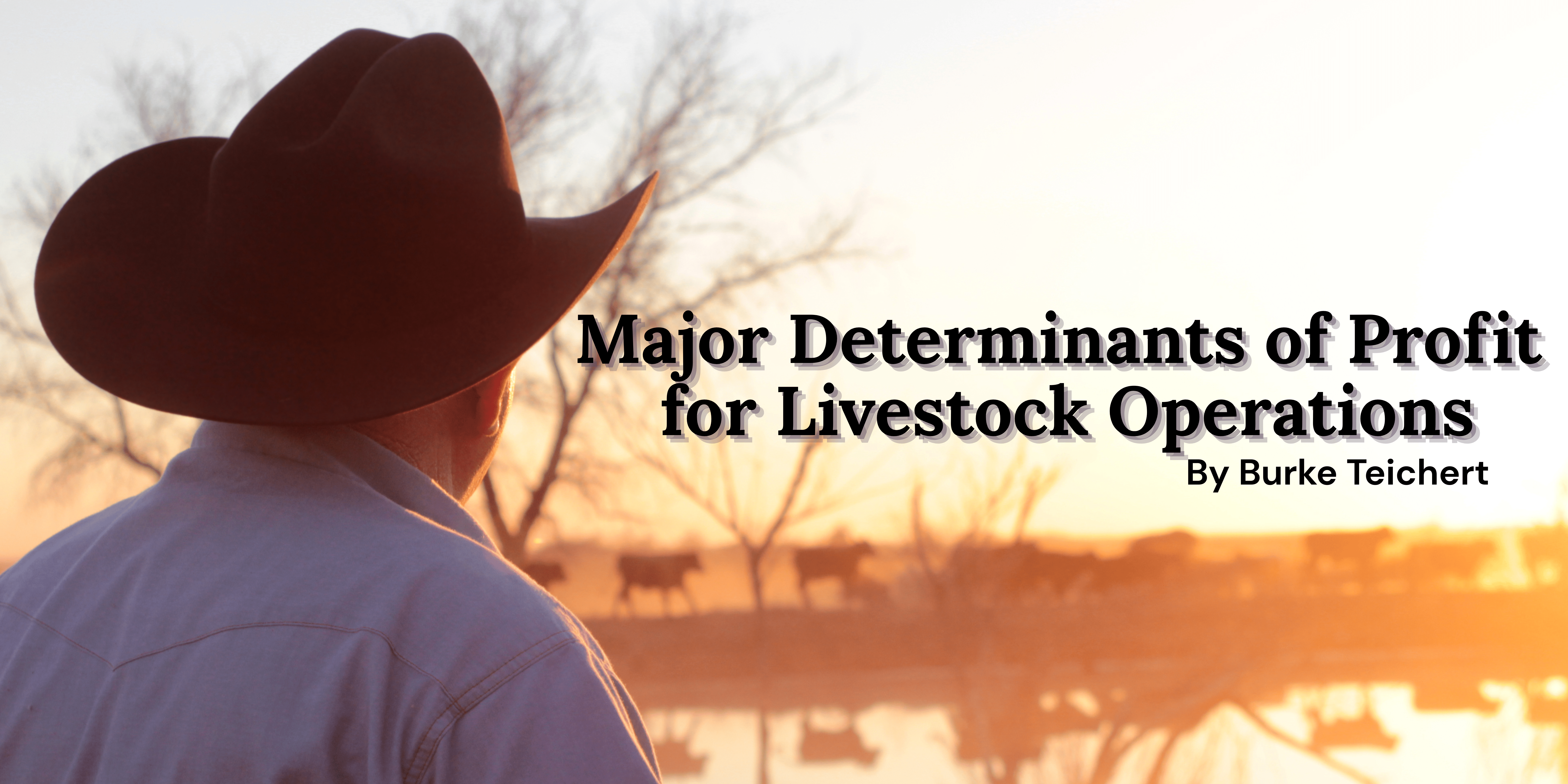 Major Determinants of Profit for Livestock Operations