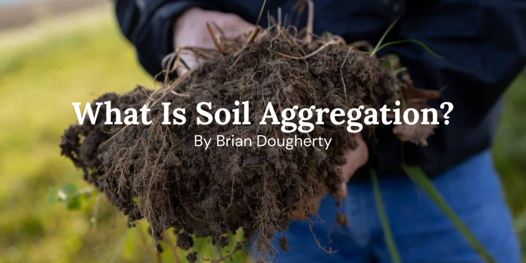 dark soil held by hands in field