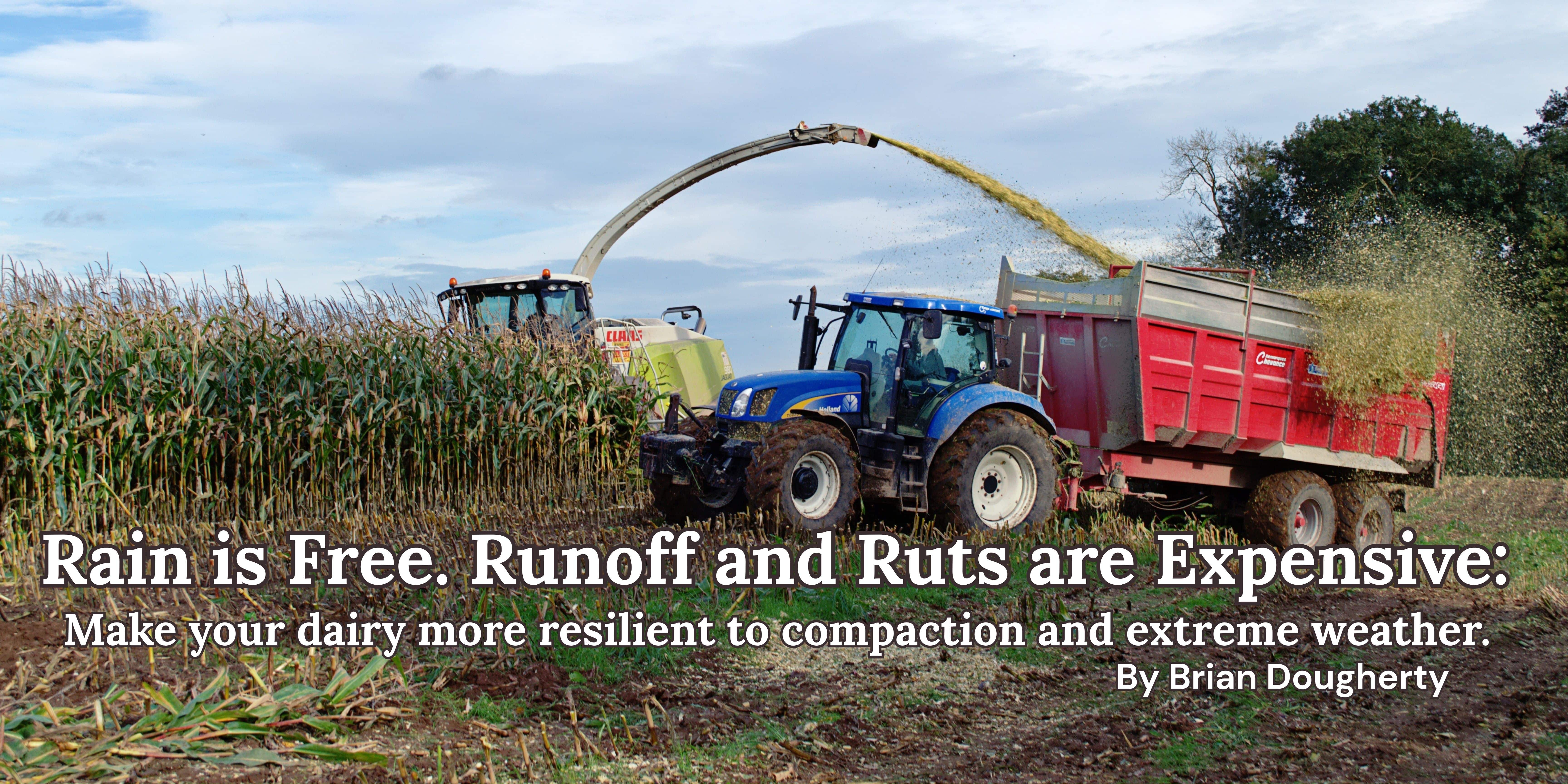 Make your dairy more resilient 2