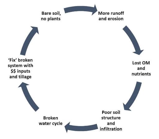 runoff cycle
