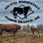 Signal ranch